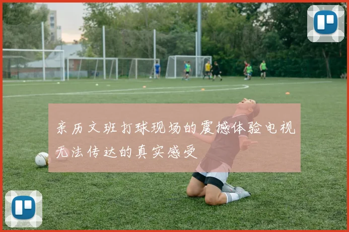亲历文班打球现场的震撼体验电视无法传达的真实感受