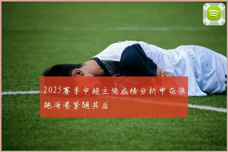 2025赛季中超主场成绩分析申花领跑海港紧随其后
