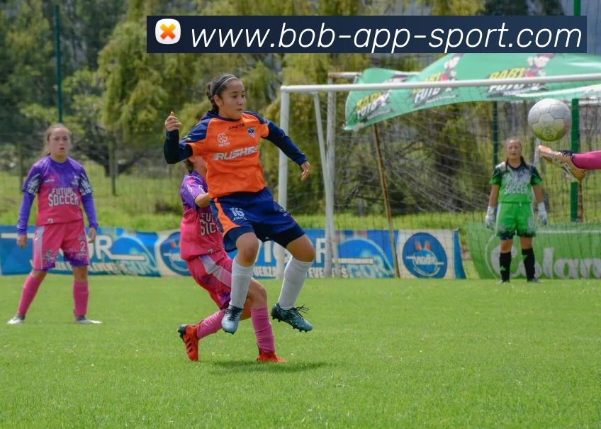 App Interface Preview